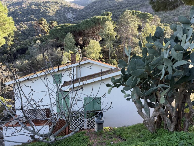 Casa Mandorlo 2 - vista strada