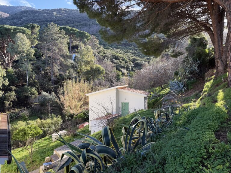 Casa Mandorlo 3 - vista parcheggio